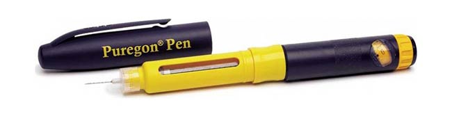 قلم تزریق سوماتروپین و آمپول پیورگان